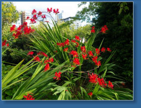Parkanlange zwischen Space Needle und Glasmuseum - Seattle, WA