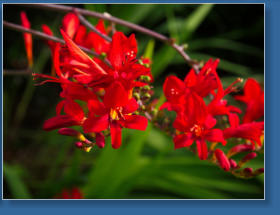 Parkanlange zwischen Space Needle und Glasmuseum - Seattle, WA