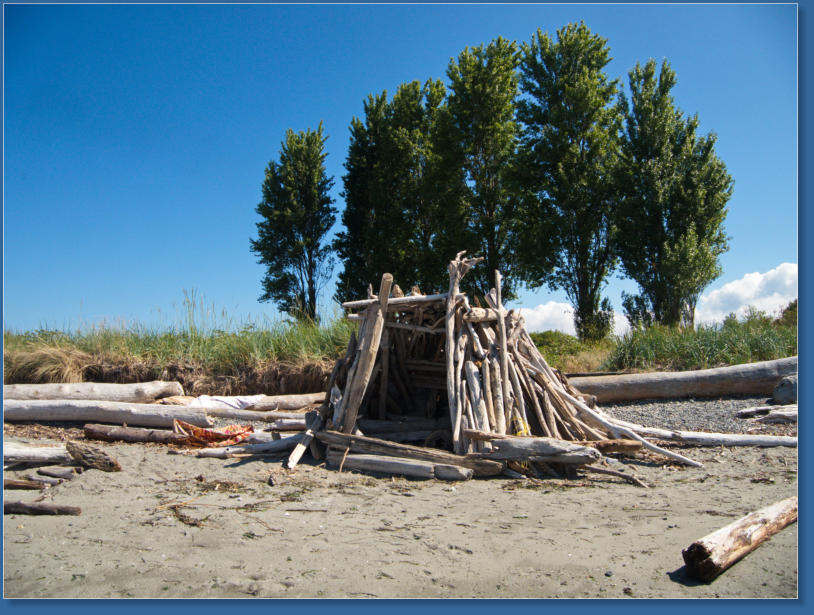 Discovery Park - Seattle, WA