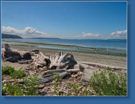 Strand am West Point Lighthouse - Discovery Park - Seattle, WA