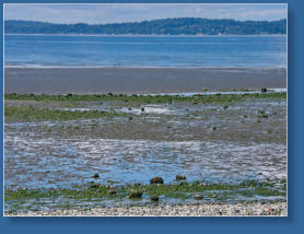 Strand am West Point Lighthouse - Discovery Park - Seattle, WA