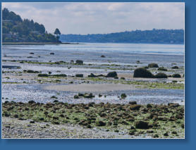 Strand am West Point Lighthouse - Discovery Park - Seattle, WA