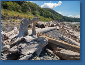 Strand am West Point Lighthouse - Discovery Park - Seattle, WA