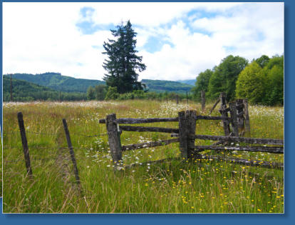 Anfahrt Mt. Rainier Valley Lodge, Elbe, WA