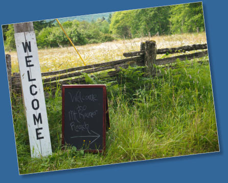 Anfahrt Mt. Rainier Valley Lodge, Elbe, WA