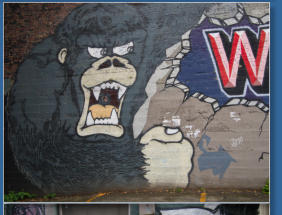 Belltown - Seattle, WA