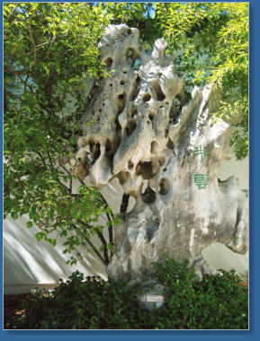 Chinese Garden - Portland, OR