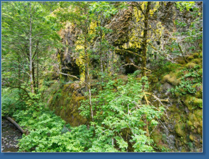 Columbia River Gorge - OR