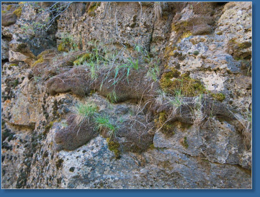 Crack in the ground, Christmas Valley, OR