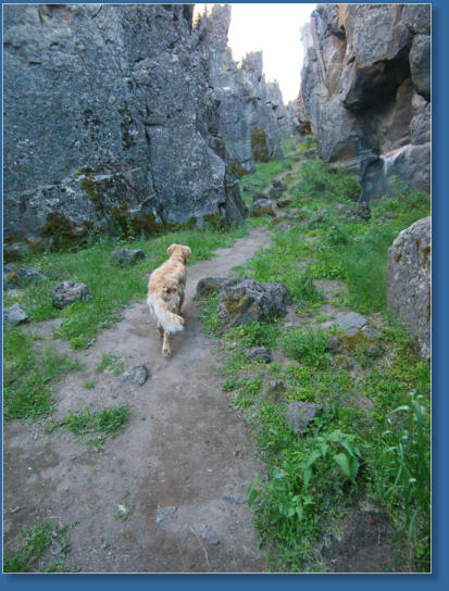 Crack in the ground, Christmas Valley, OR