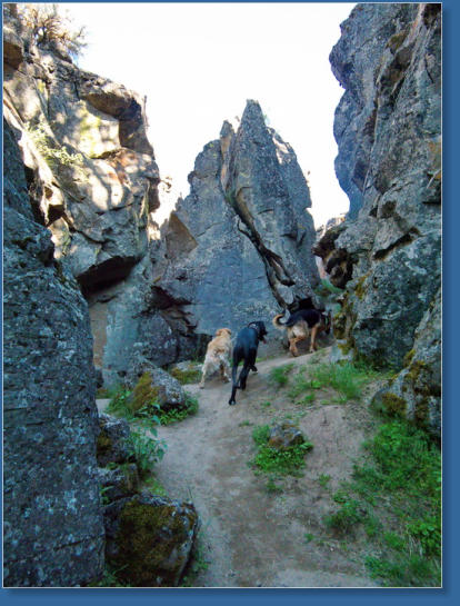 Crack in the ground, Christmas Valley, OR