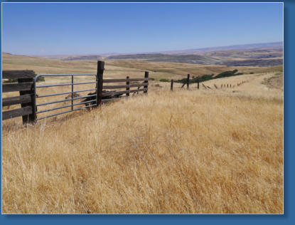 Dalles Mountain Ranch, WA