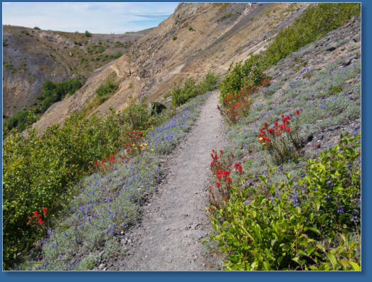 Mount St. Helens National Volcanic Monument, WA