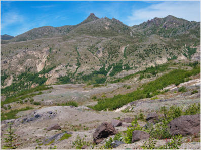 Harris Ridge Trail - Mt. St. Helens NVM, WA