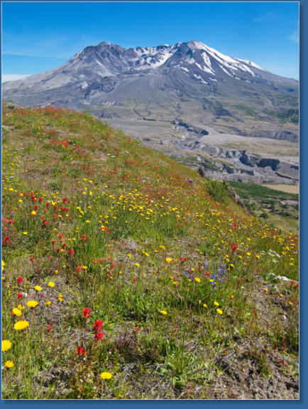 Harris Ridge Trail - Mt. St. Helens NVM, WA