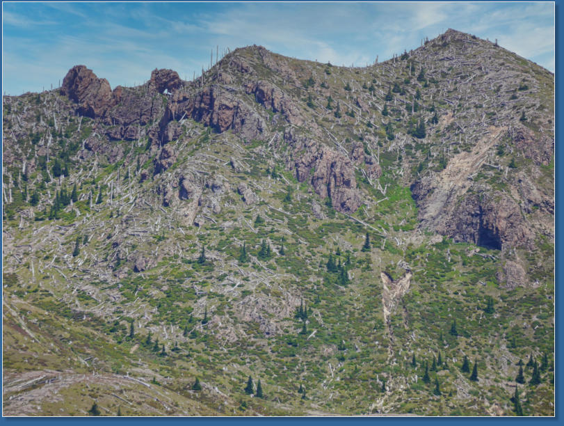 Harris Ridge Trail - Mt. St. Helens NVM, WA