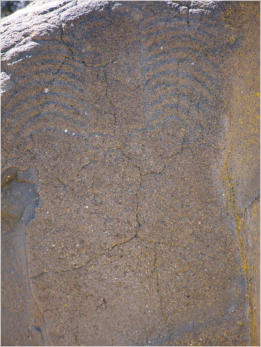 Horsethief Lake Petroglyphs - Columbia Hills State Park, WA