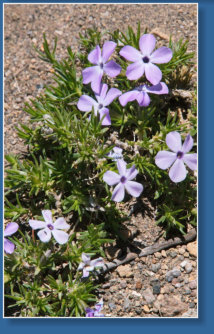 Im Crater Lake NP, OR
