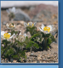 Im Crater Lake NP, OR