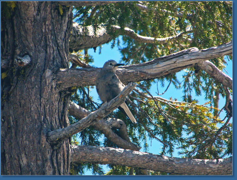 Im Crater Lake NP, OR