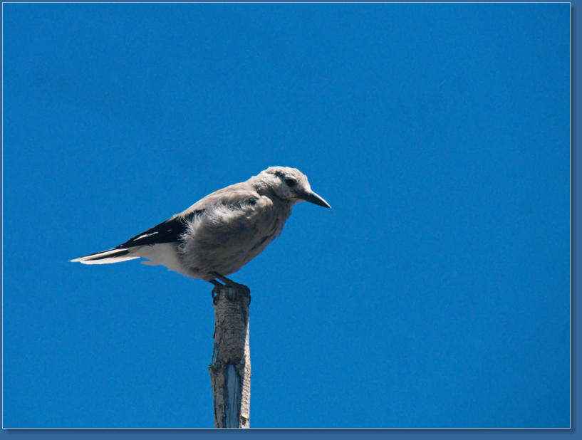 Im Crater Lake NP, OR