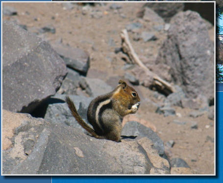Im Crater Lake NP, OR