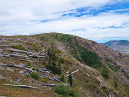 Johnson Ridge, Mount St. Helens National Volcanic Monument, WA