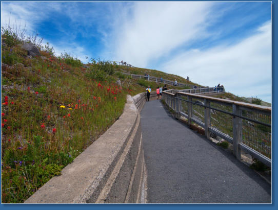 Johnson Ridge, Mount St. Helens National Volcanic Monument, WA