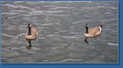 Lake Union - Seattle, WA