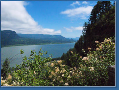 Lemmon View Point am Wahkeena Falls Trail - Columbia River Gorge, OR