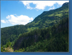 Mt. Rainier National Park, WA