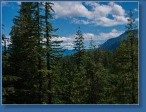 Mt. Rainier National Park, WA