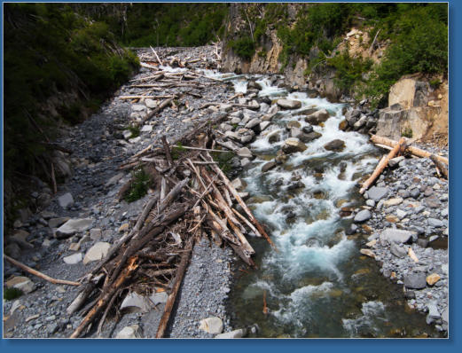 Mt. Rainier National Park, WA