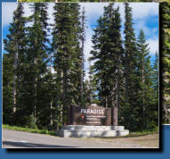 Paradise, Mt. Rainier NP, WA