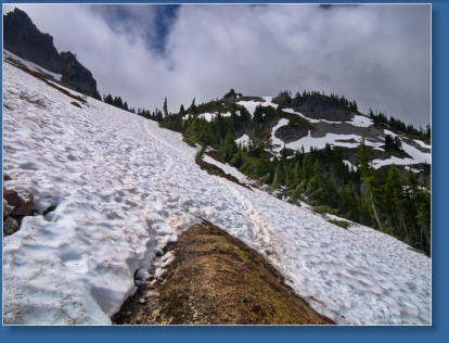 Pinnacle Pine Trail - Mt. Rainier National Park, WA