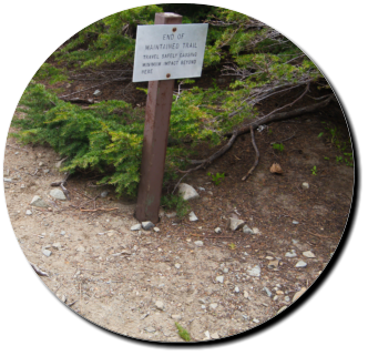 Pinnacle Pine Trail - Mt. Rainier National Park, WA