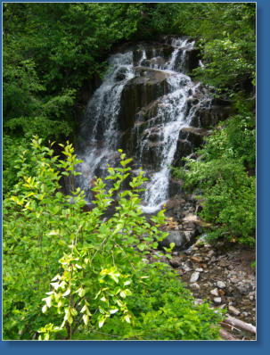 Mt. Rainier National Park, WA