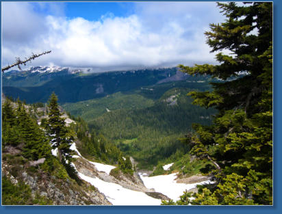 Pinnacle Pine Trail - Mt. Rainier National Park, WA