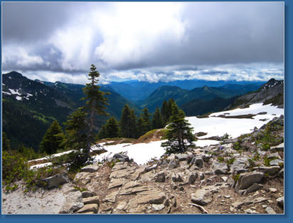 Pinnacle Pine Trail - Mt. Rainier National Park, WA