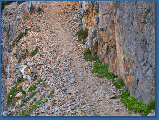 Pinnacle Pine Trail - Mt. Rainier National Park, WA