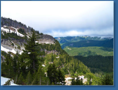 Pinnacle Pine Trail - Mt. Rainier National Park, WA
