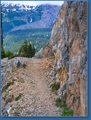 Pinnacle Pine Trail - Mt. Rainier National Park, WA
