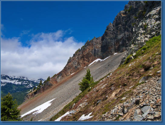 Pinnacle Pine Trail - Mt. Rainier National Park, WA