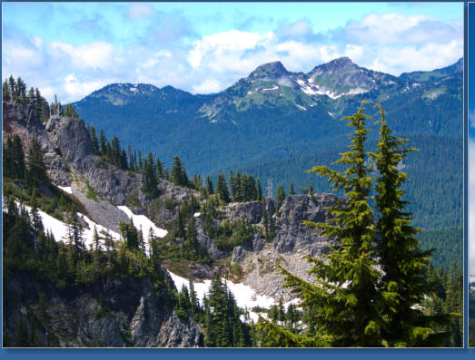 Pinnacle Pine Trail - Mt. Rainier National Park, WA