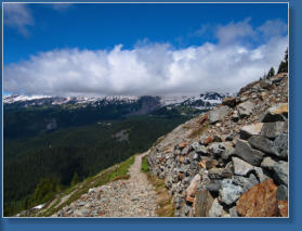 Pinnacle Pine Trail - Mt. Rainier National Park, WA