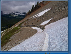 Pinnacle Pine Trail - Mt. Rainier National Park, WA