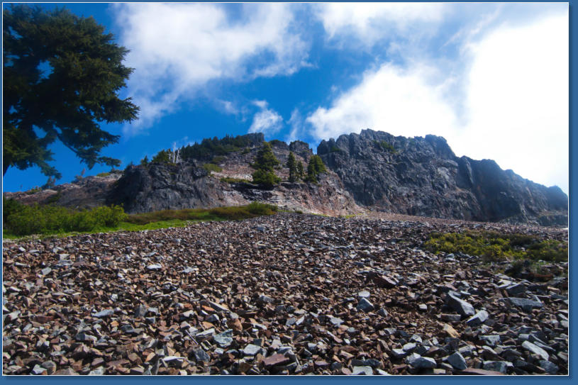 Pinnacle Pine Trail - Mt. Rainier National Park, WA