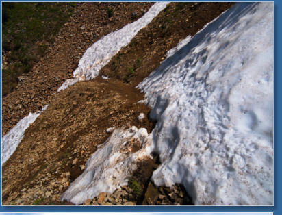 Pinnacle Pine Trail - Mt. Rainier National Park, WA