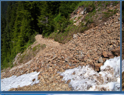Pinnacle Pine Trail - Mt. Rainier National Park, WA