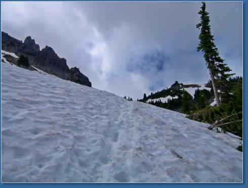 Pinnacle Pine Trail - Mt. Rainier National Park, WA